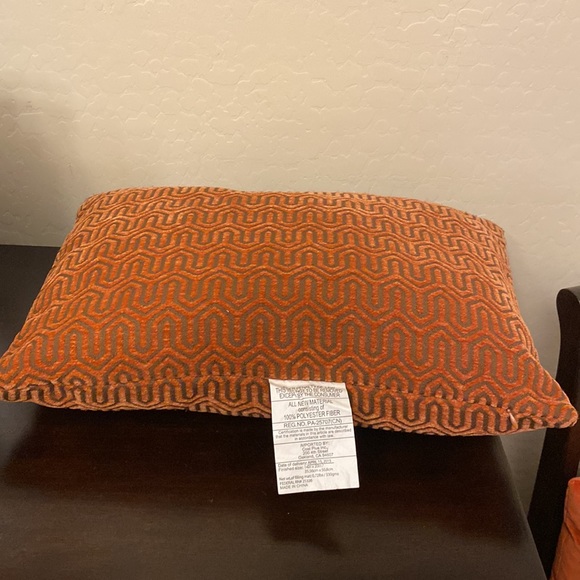 🆕 World Market Lumbar Pillows Set (2) - Picture 7 of 10